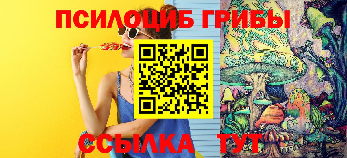 Азнакаево  Псилоцибиновые грибы ЛСД  Вход с VPN  Псилоцибиновые грибы ЛСД 